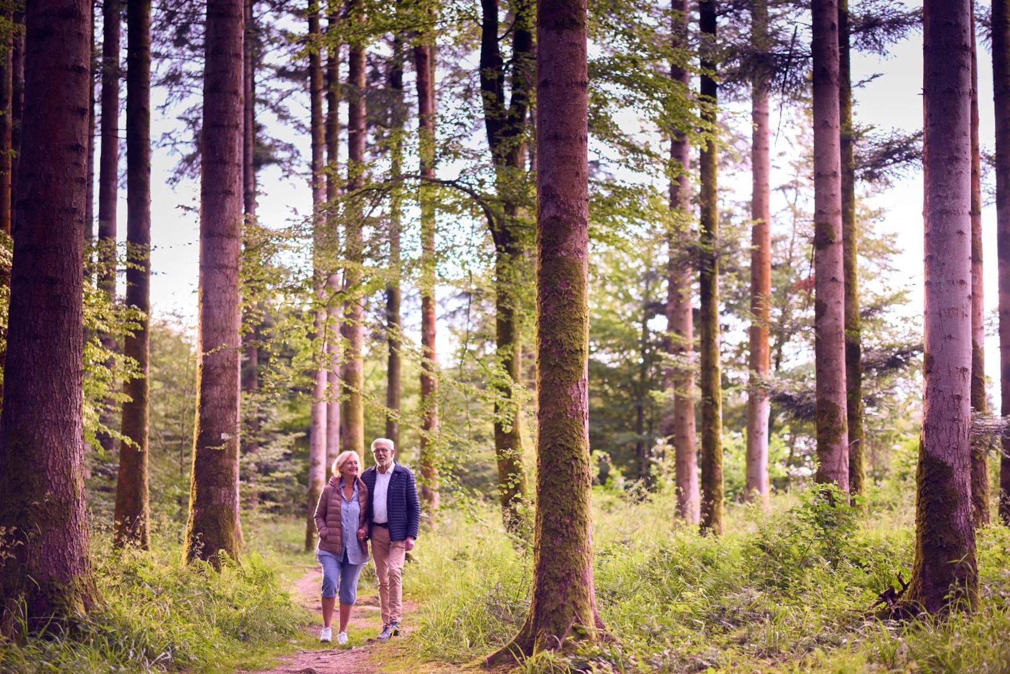 Center Parcs Les Trois Forets Hattigny Buitenkant foto